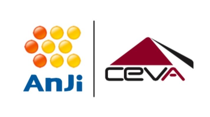 ANJI CEVA