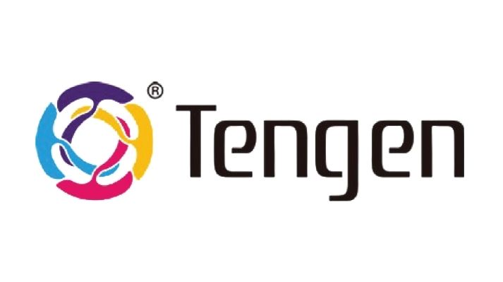 Guangdong Tengen Industrial Group Co Ltd